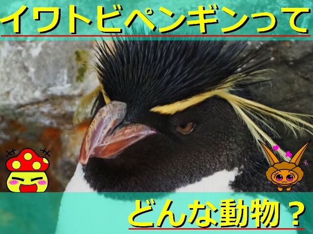 Thumbnail of post image 087